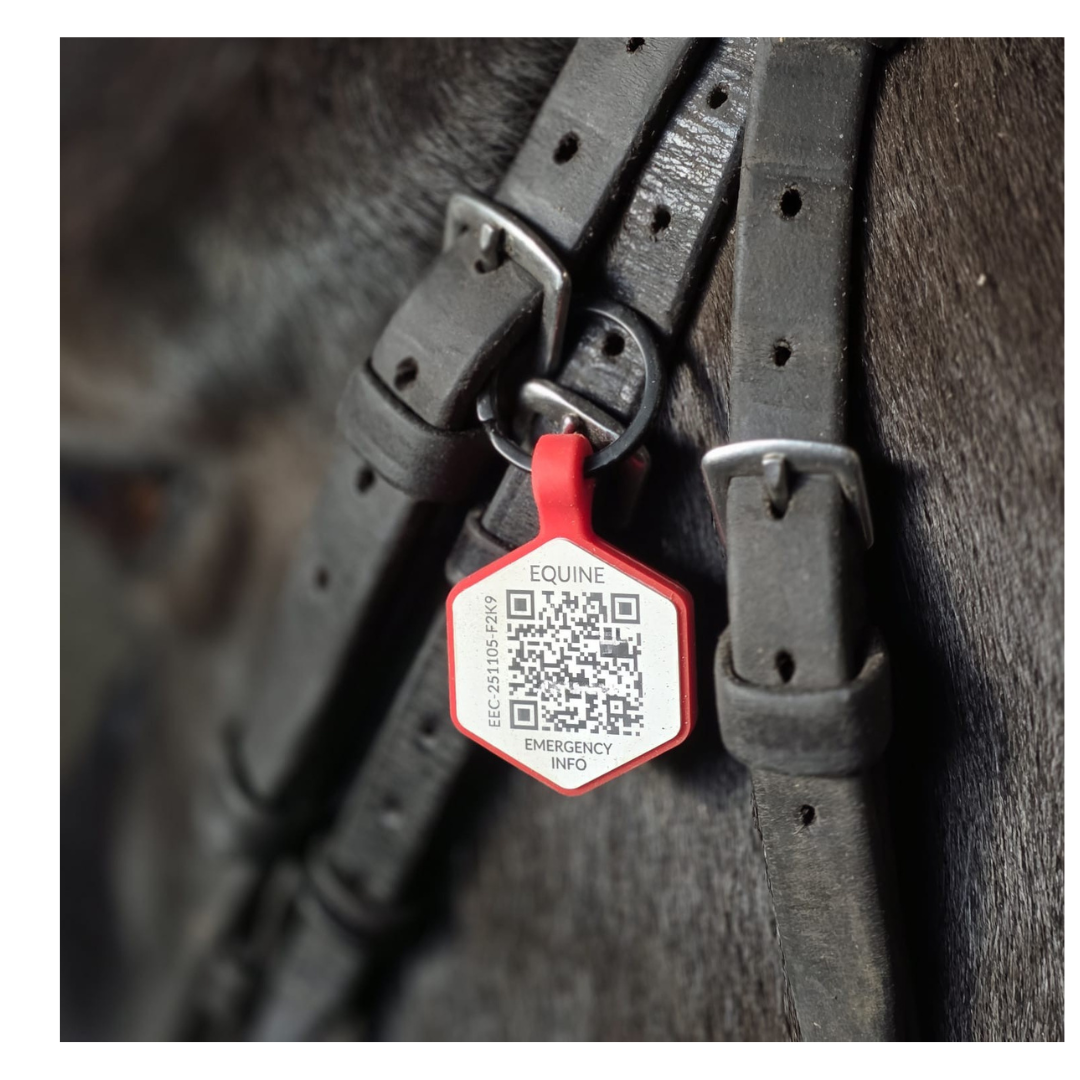 Equine Emergency Tags