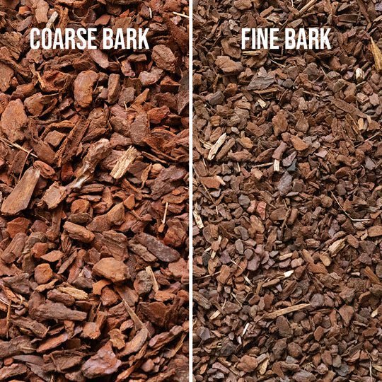 Bark -Soil Ninja