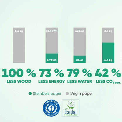 Steinbeis Classic №1 A3 Printer Paper 100% Recycled 80 gsm Natural White