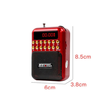Portable Rechargeable FM Radio Receiver Speaker, Support USB / TF Card / Music MP3 Player