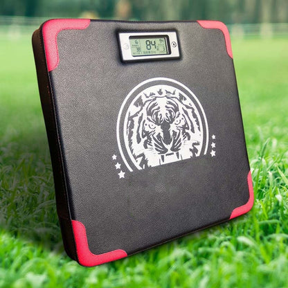 KEZHAN KZ-01 Boxing Strength Tester Force Measuring Device Boxing Training Sandbag Smart Wall Target, Wall Target