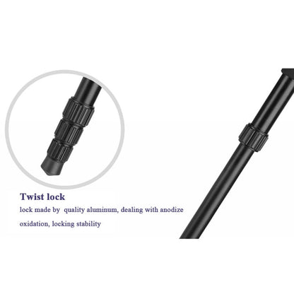 Q222 Portable 4-Section Folding Legs Aluminum Alloy Tripod Mount Monopod Holder with Ball Heads