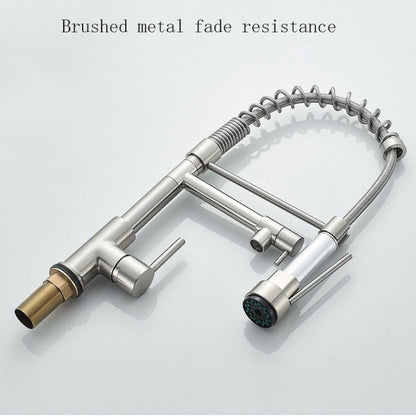 Copper And Nickel Brushed Double Outlet Spring Faucet Rotatable Kitchen Hot And Cold Water Faucet, Brushed Silver