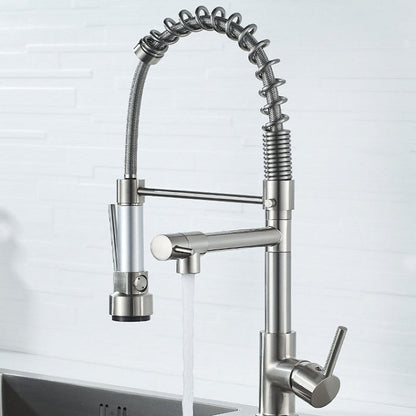Copper And Nickel Brushed Double Outlet Spring Faucet Rotatable Kitchen Hot And Cold Water Faucet, Brushed Silver