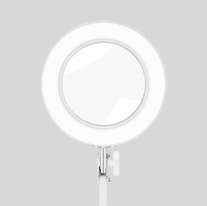 USB Desktop LED Ring Light Welding Auxiliary Magnifying Glass Lighting Desk Lamp, USB (White)