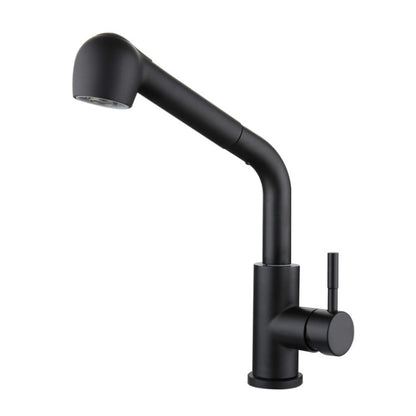 304 Stainless Steel Kitchen Sink Pull-out Faucet, Sink Pull-out Faucet