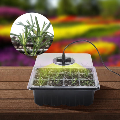 5 Set Plant Seed Starter Trays Kit,Seedling Tray Starter With Grow Light, Black, Green