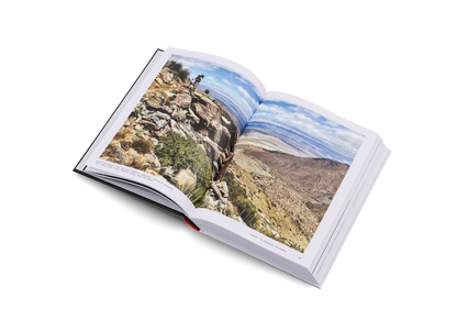 The Great Alone