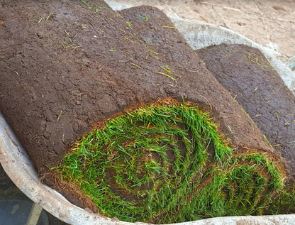 Lawn Shade Turf *Bulk Buy Saver* FREE Pallet Delivery (select pallet amount)