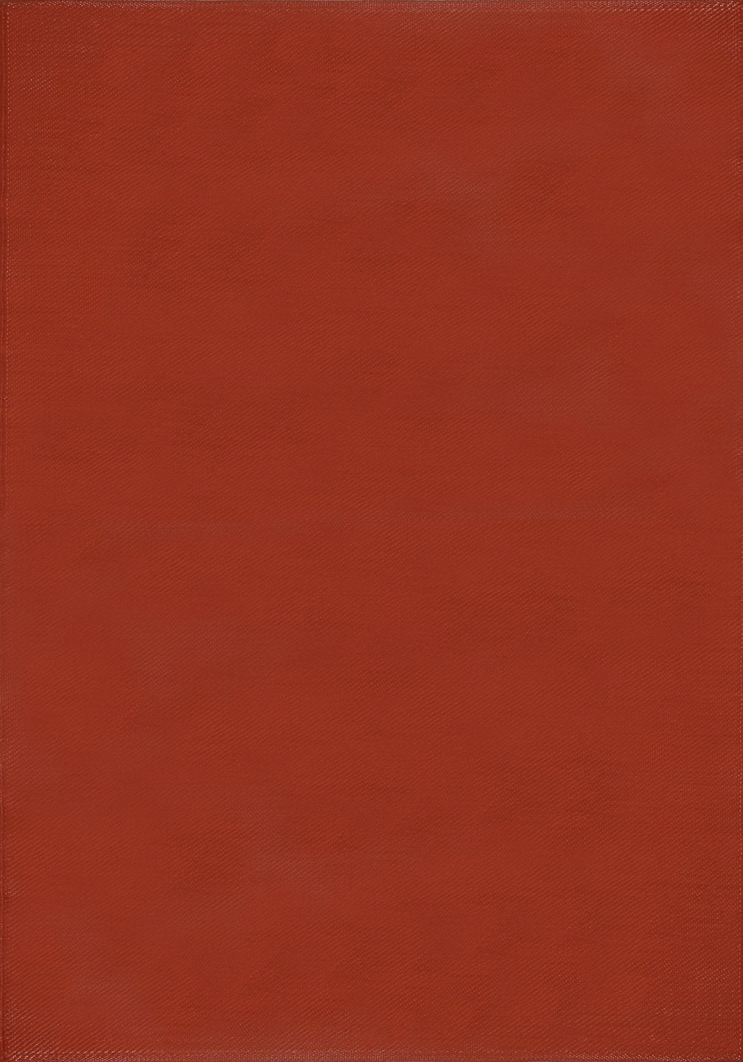 Urban Outdoor Rug Terra | 1000