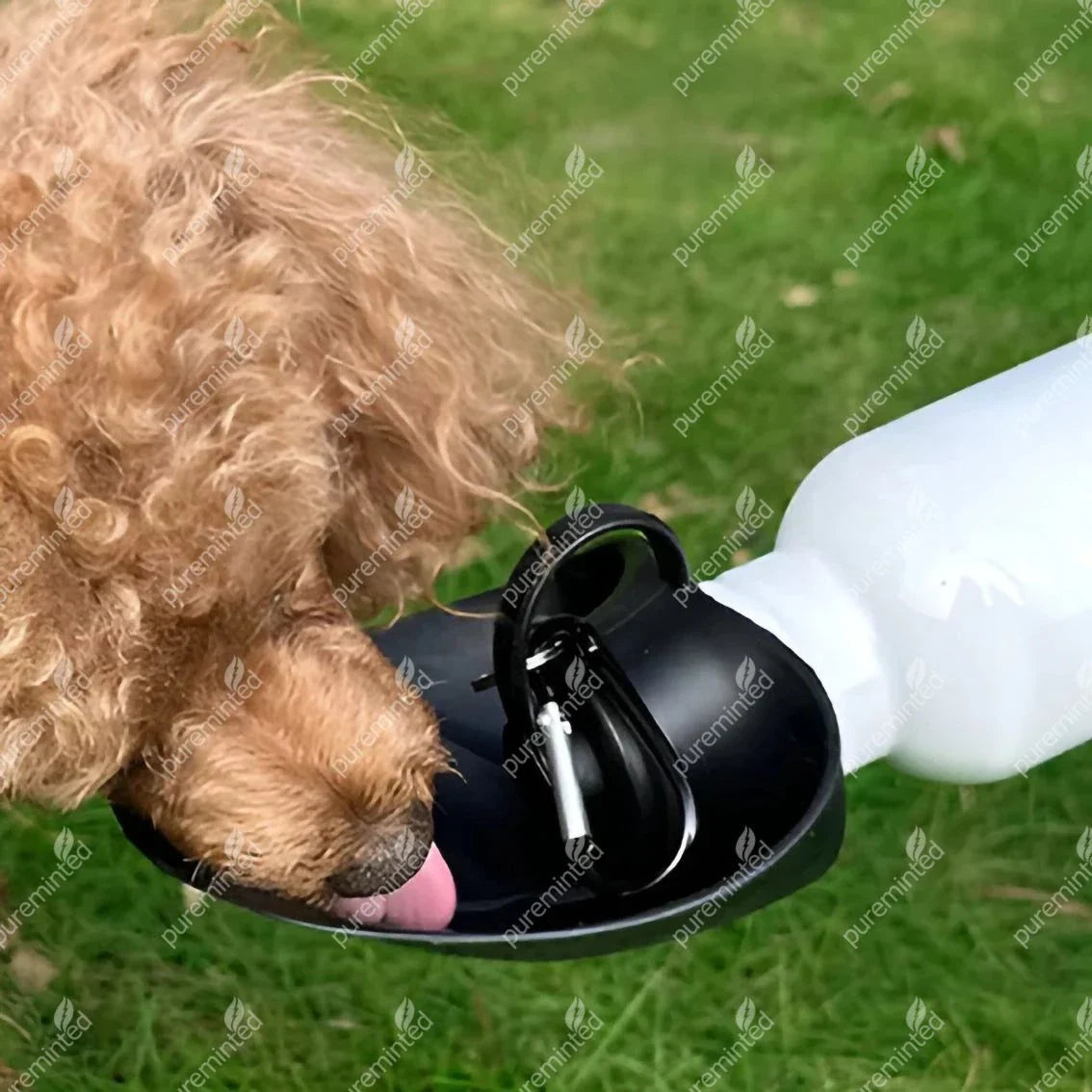 No.1 Dug Maw - Water Bottle