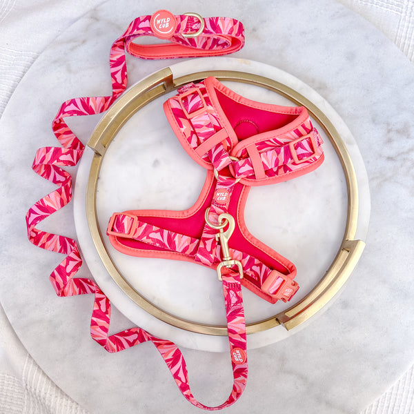 Wyld Cub - Adjustable Dog Harness: Kew Honeysuckle