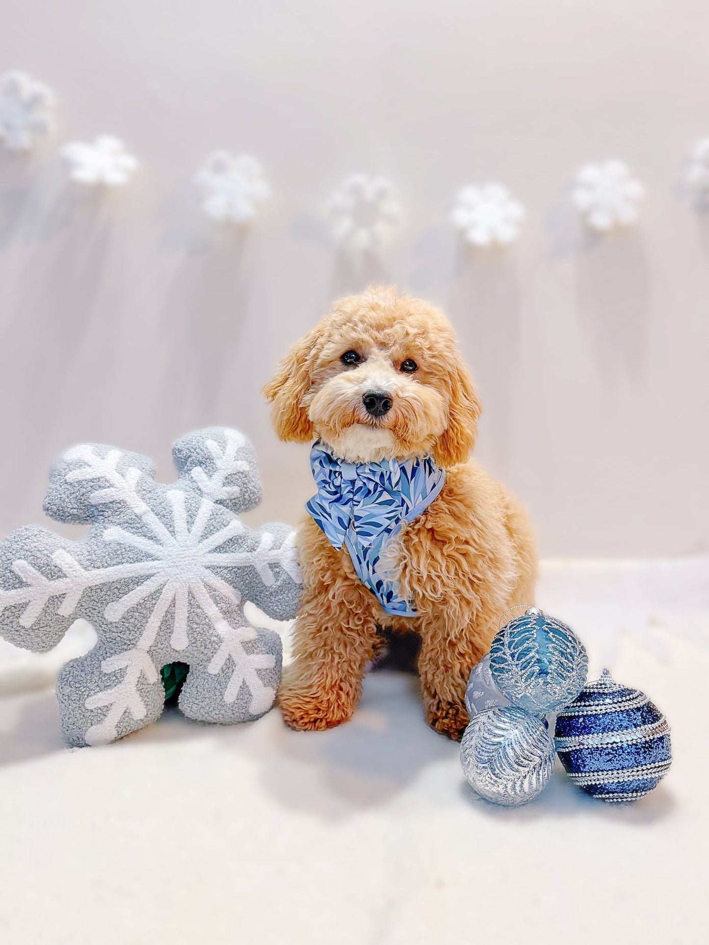 Wyld Cub - Dog Sailor Bow Tie: Kew Celeste