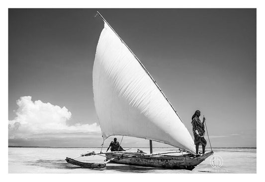 David Ballam - ZAN_43