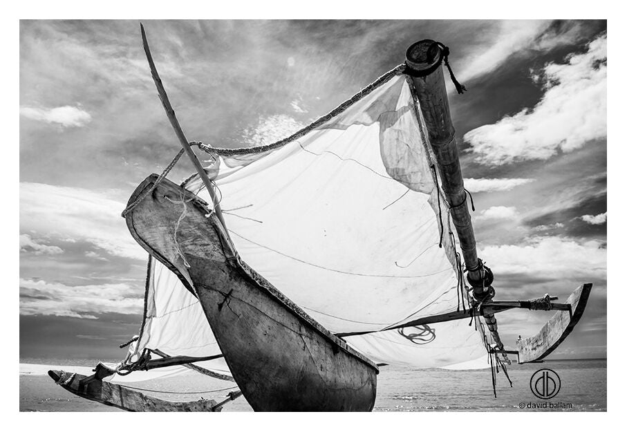 David Ballam - ZAN_46