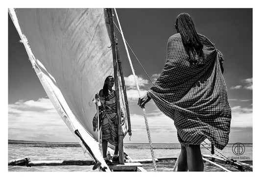 David Ballam - ZAN_55