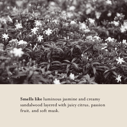 A LA MAISON Cleansing Shower Oil – Jasmine & Santal | Hydrating Oil-to-Lather