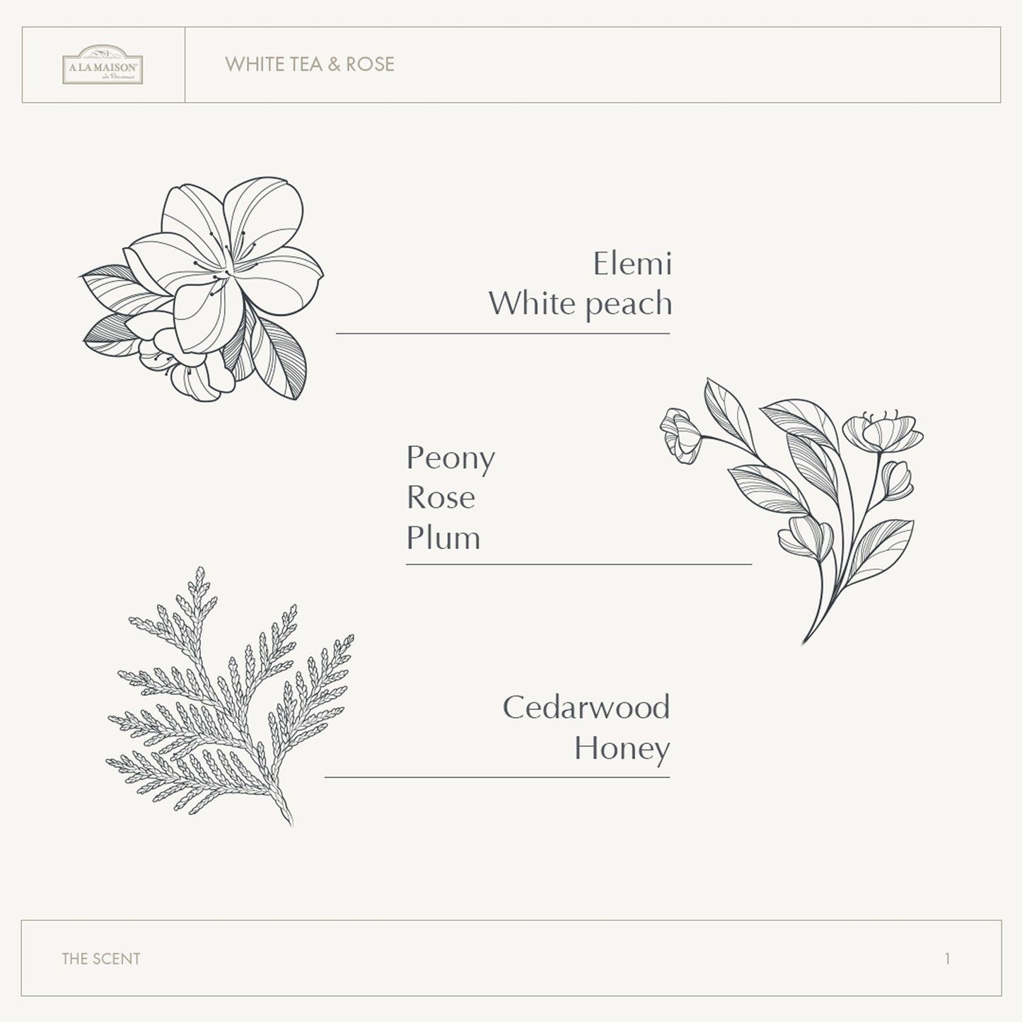 A LA MAISON Cleansing Shower Oil – White Tea & Rose | Hydrating, Oil-to-Lather Cleanser