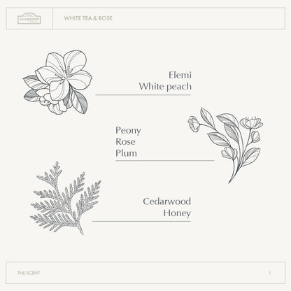 A LA MAISON Cleansing Shower Oil – White Tea & Rose | Hydrating, Oil-to-Lather Cleanser