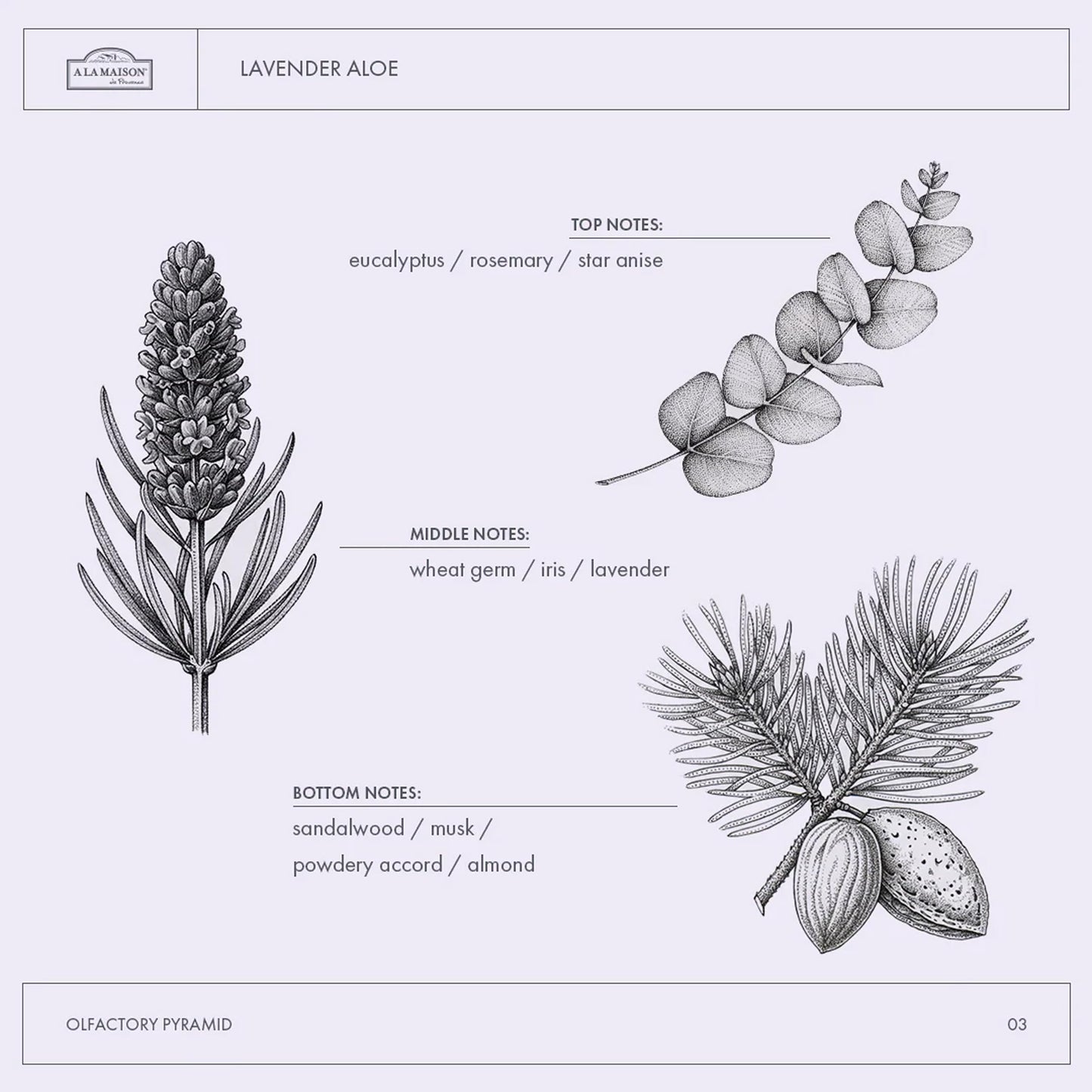 A LA MAISON Lavender Aloe Refill – French Liquid Hand Soap (Vegan, Cruelty-Free)