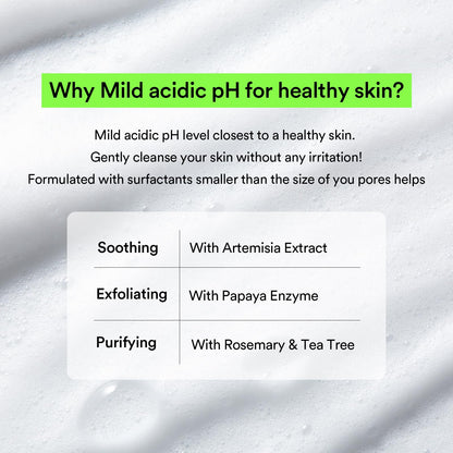 Abib Mild Foam Cleanser with Heartleaf – Gentle, pH-Balanced Cleanser 5.07 fl oz