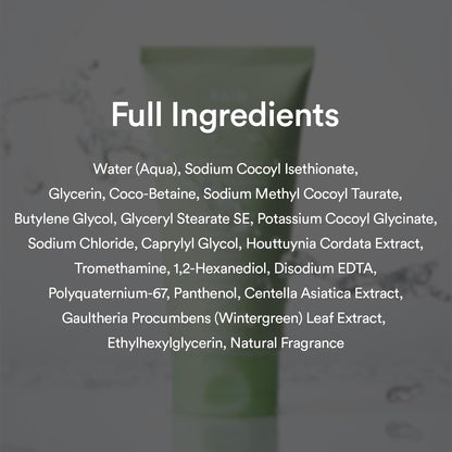 Abib Mild Foam Cleanser with Heartleaf – Gentle, pH-Balanced Cleanser 5.07 fl oz