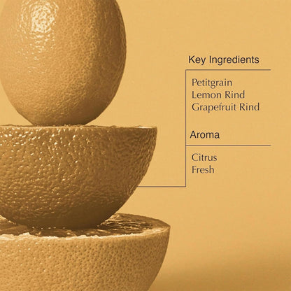 Aesop Citrus Melange Body Cleanser Refill | Gentle Low-Foaming Citrus Gel with Botanical Extracts | 16.9 oz / 500 mL