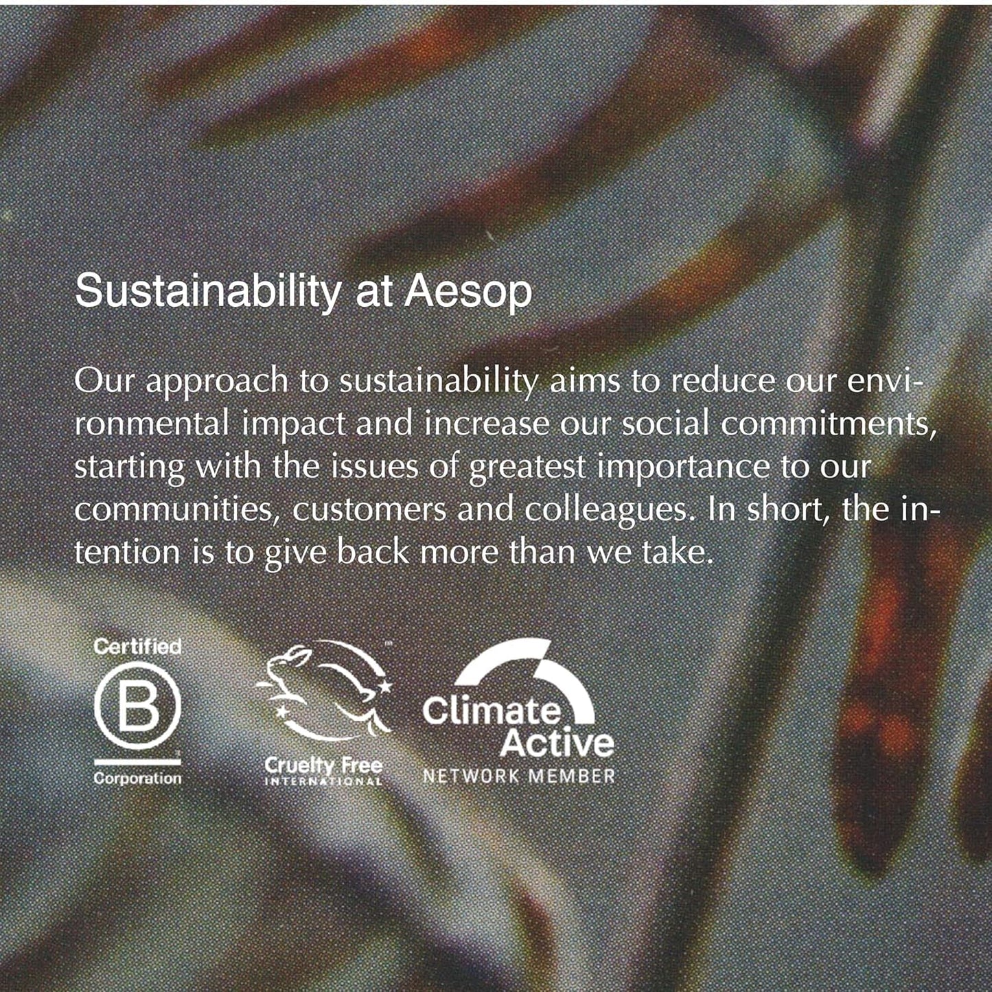 Aesop Geranium Leaf Body Cleanser Refill | Invigorating Gel | Green & Citrus | 16.9 fl oz x3