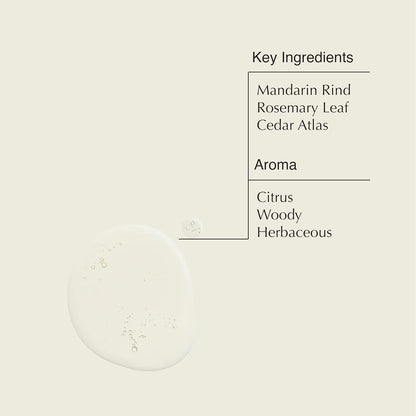 Aesop Resurrection Aromatique Hand Wash & Refill — Gentle Non-Drying Gel with Orange, Rosemary & Lavender Oils | 16.9oz x2