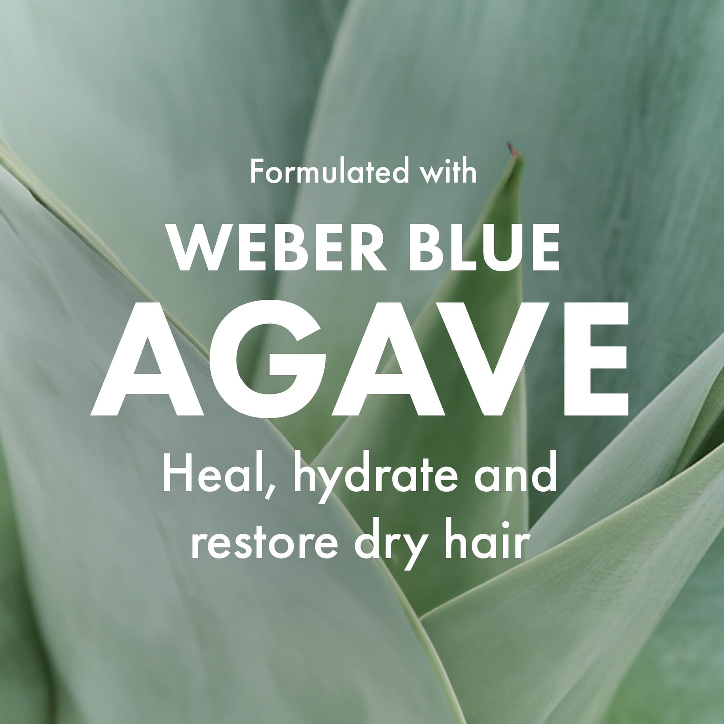 Agave Smoothing Shampoo – Hydration & Frizz Control | Color-Safe, Sulfate-Free (33.8 oz) | Agave Healing Oil