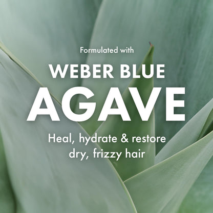 Agave Clarifying Shampoo: Deep Cleansing, Hydration & Sulfate-Free Formula | 33.8 fl oz