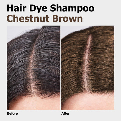 Agthyuve Hair Dye Shampoo 3-in-1 Chestnut Brown – Safe, Easy Color