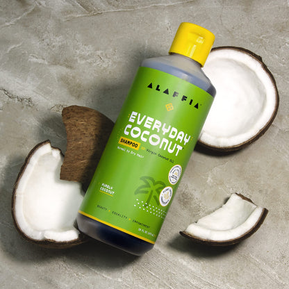 Alaffia Everyday Coconut Shampoo – Gentle & Hydrating for Wavy & Curly Hair | 2 Pack, 16 fl oz Each