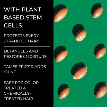 Alevai Stem+ Conditioner | Oily & Dry Scalp Treatment, Sulfate-Free & Vegan