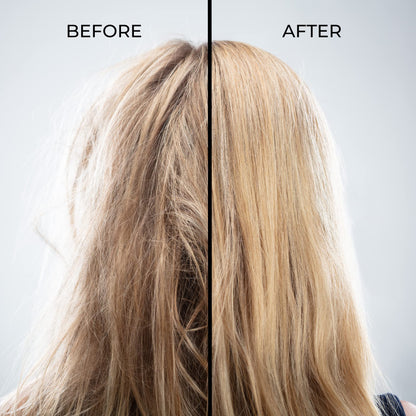 Alevai Stem+ Conditioner | Oily & Dry Scalp Treatment, Sulfate-Free & Vegan