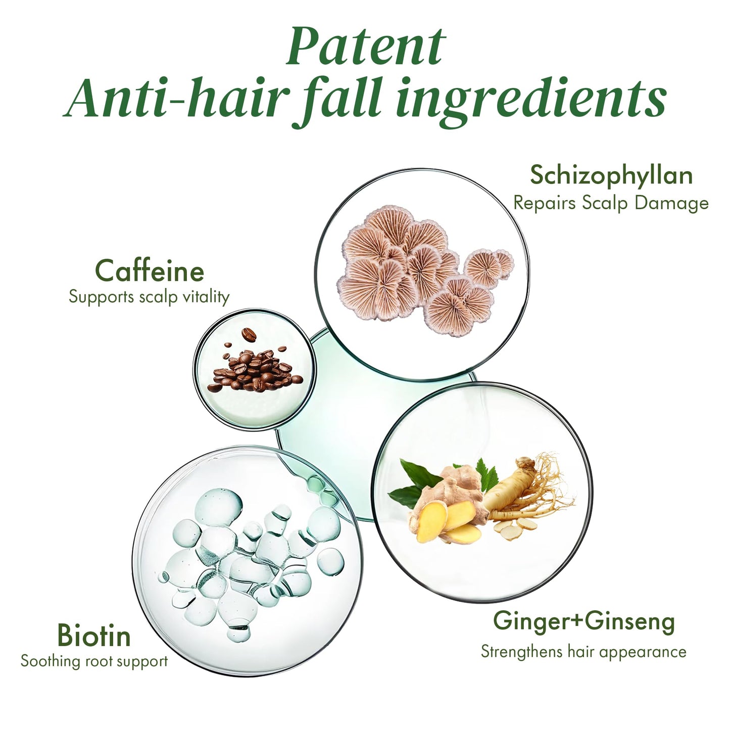 ALFHEIM Saw Palmetto Scalp Serum — Fuller Hair, Caffeine & Biotin, 0.34 oz
