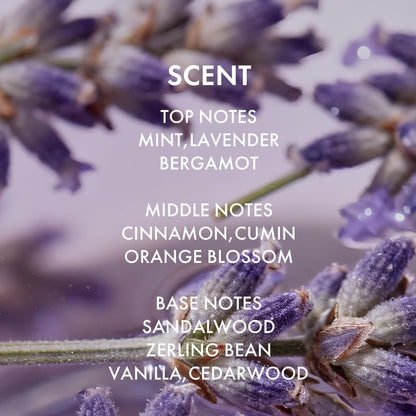 ALFHEIM Lavender+ Purple Shampoo – Neutralizes Brass, Brightens Blonde & Silver Hair | 33.8 oz