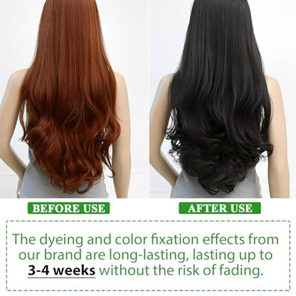 ALIVER Hair Dye Shampoo Black – 3-in-1 Color, Nourish & Growth Promoter 500ml