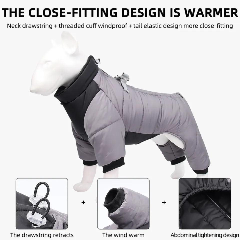 All Weather Dog All-In-One