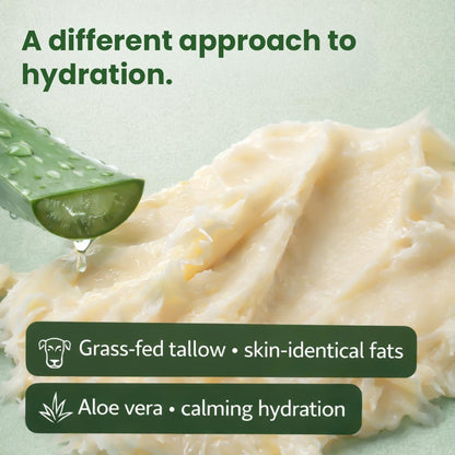 AloeTallow Daily Body Lotion – Deep Hydration with Grass-Fed Tallow & Aloe Vera