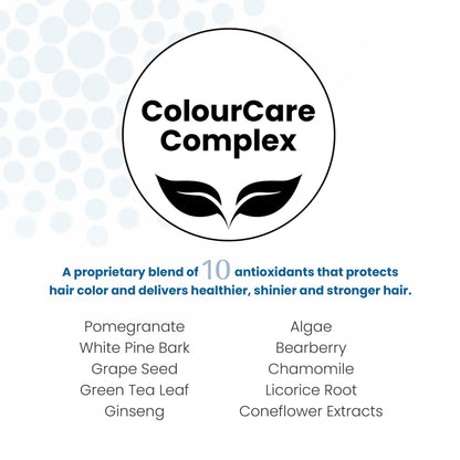 ALOXXI Reparative Hair Repair Shampoo for Damaged Hair with ColourCare Complex | 10.1 Fl Oz