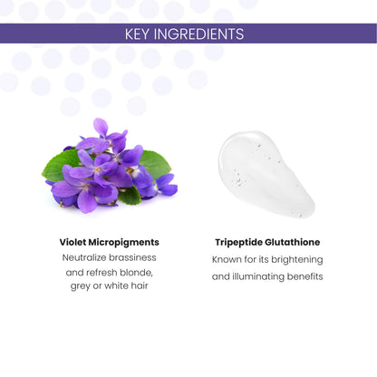 ALOXXI Violet Shampoo for Blonde & Silver Hair – Neutralizes Brassiness & Brightens Tones