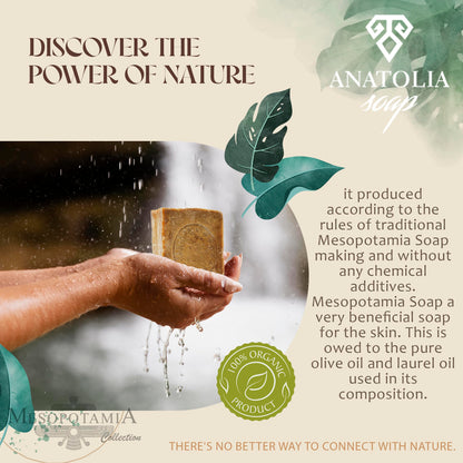 Aleppo Soap 2-Pack | Anatolia Soap – 100% Olive Oil Handmade Castile Soap, 14 oz Total