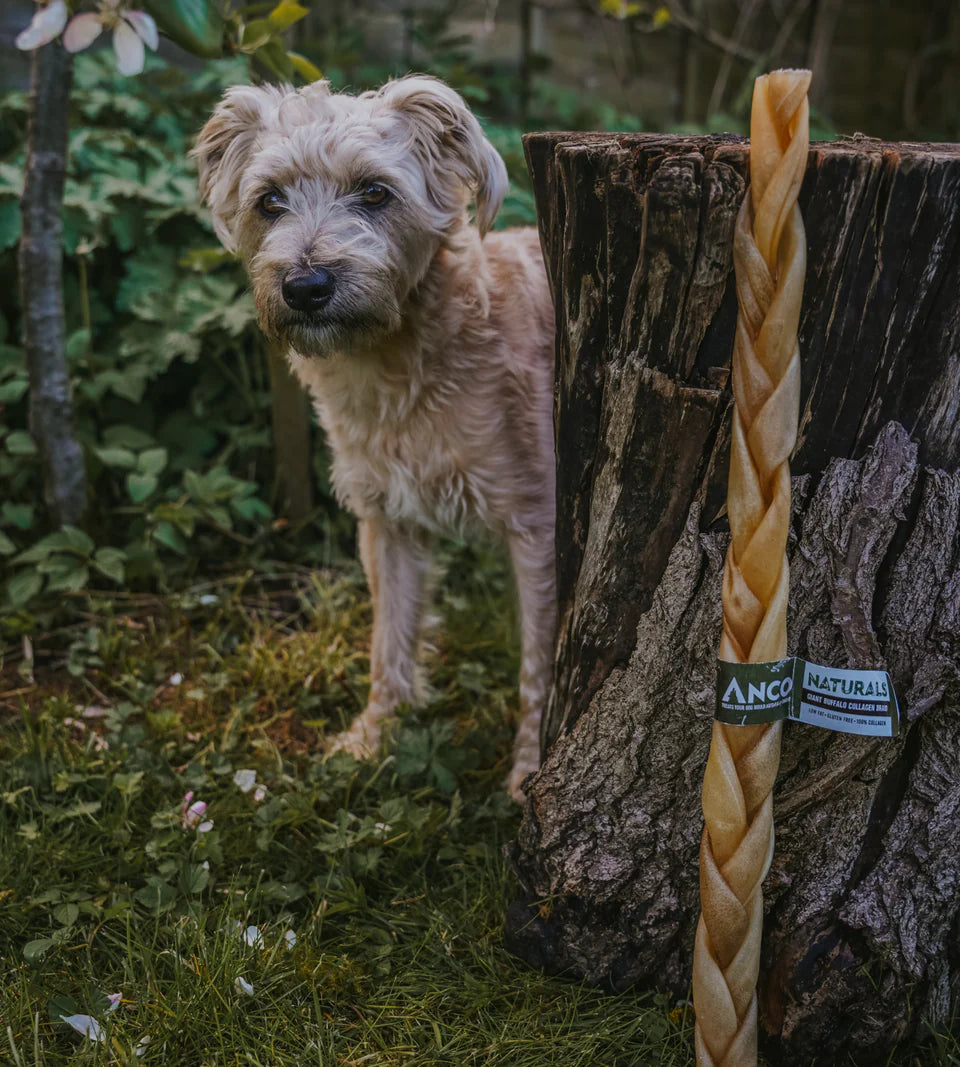 Anco Naturals Giant Buffalo Collagen Braid