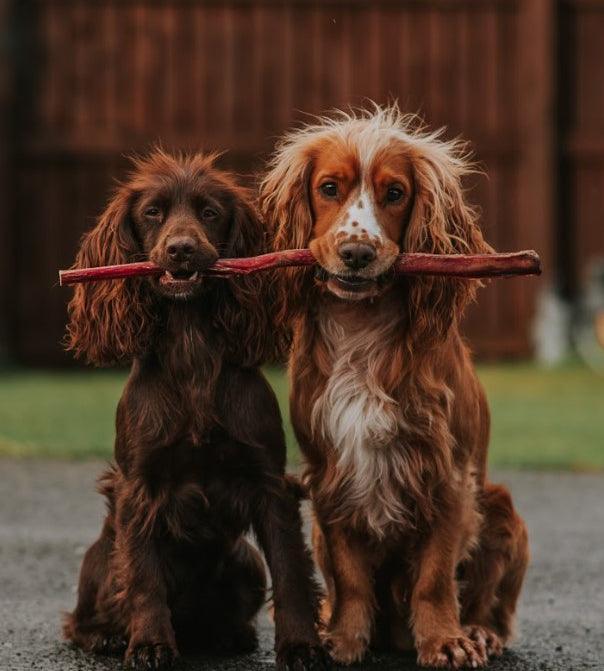Anco Naturals Giant Pizzle Stick
