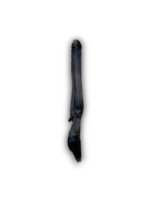 Anco Naturals Roe Deer Leg