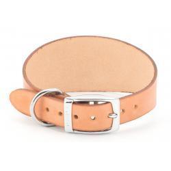 Ancol Greyhound Collar