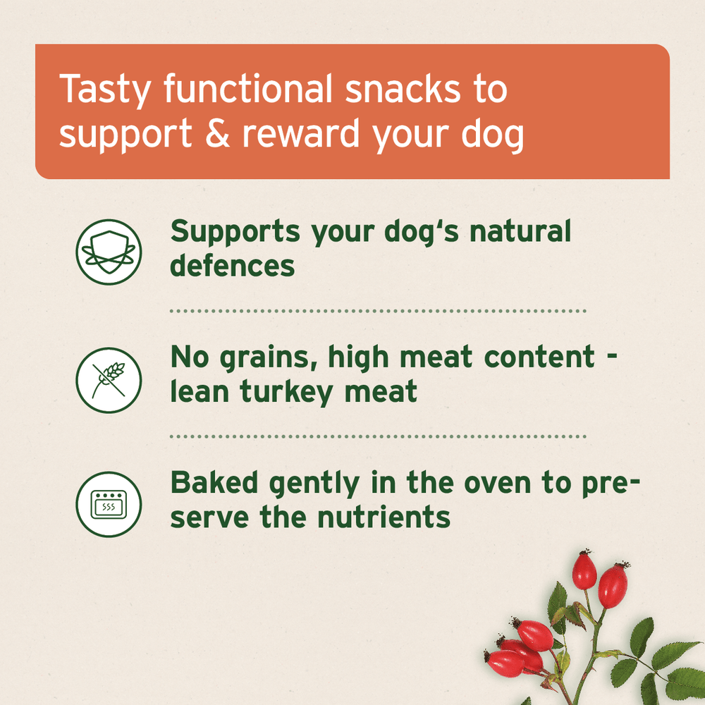 AniForte® Immunity Snack 300g