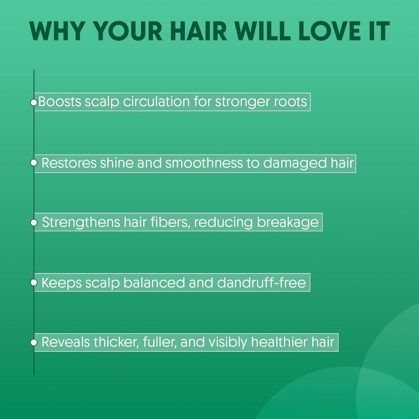 Aravi Organic Rosemary Anti Hairfall & Hair Growth Shampoo & Conditioner Combo | Sulphate-Free | For Dry & Frizzy Hair | 200ml Each