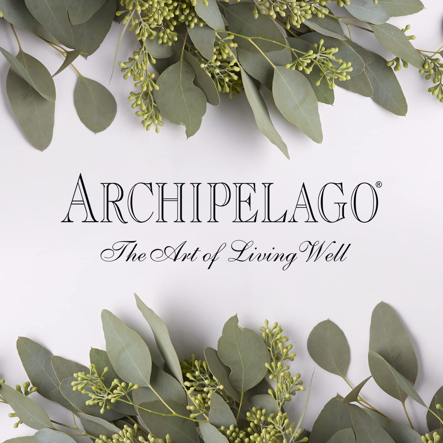 Archipelago Botanicals Luxury Charcoal Rose Bubble Bath – Hydrating & Detoxifying (25 oz)